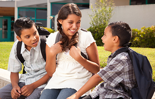 ASU SIBS Program